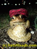 /home//u458753944/public_html/sourcegallery///////////////////////Roxborough Toad Detour/2013-2019/2017/P4030709.JPG